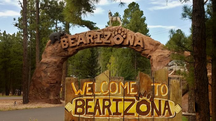 Bearizona experiencing